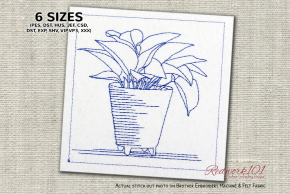 Aquarius Plants Bluework: A Holiday Design Review