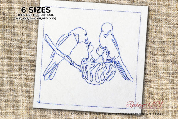 Review: Bird Perched on Nest Feeding Baby Birds